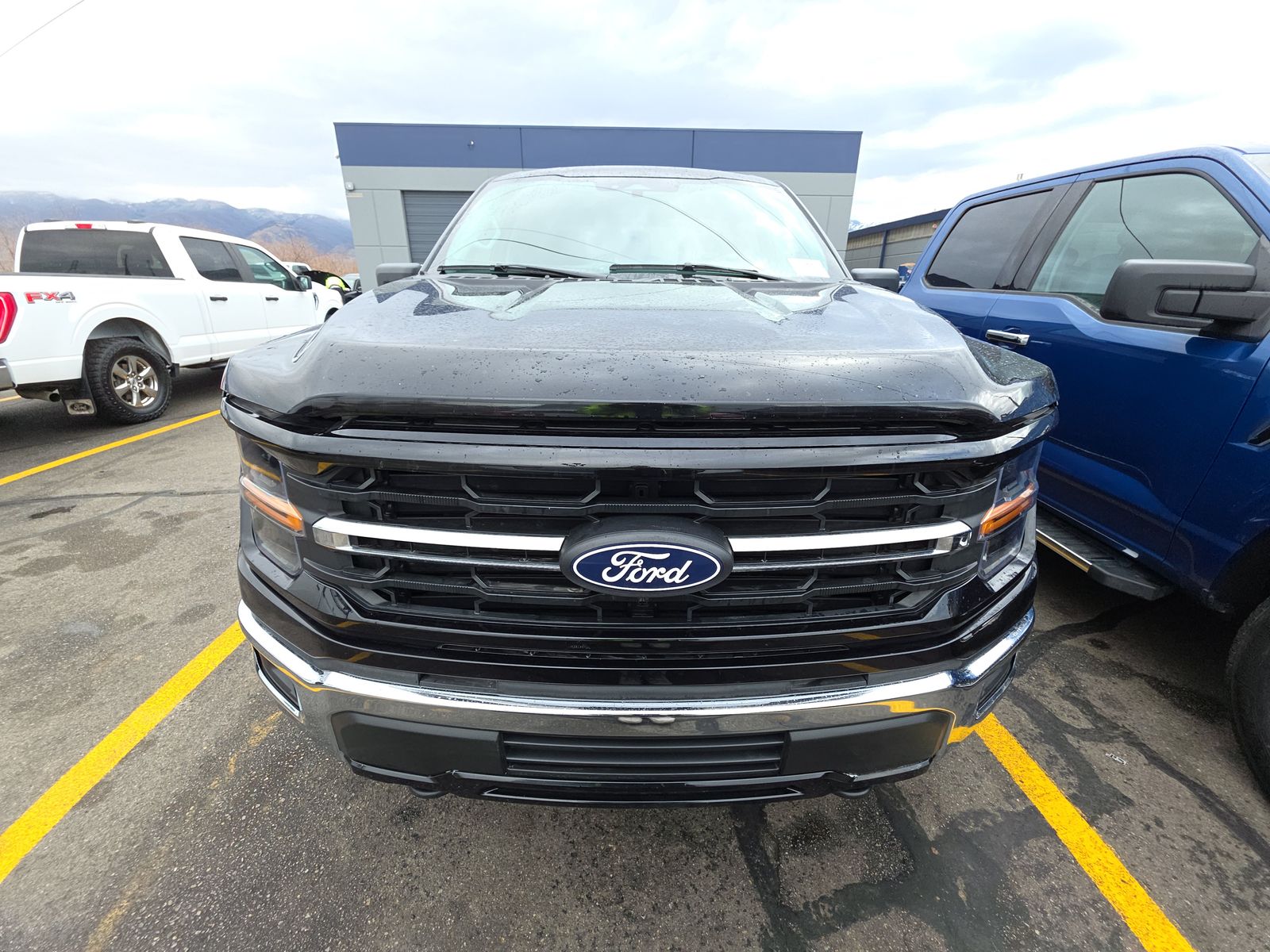 2025 Ford F-150 XLT AWD