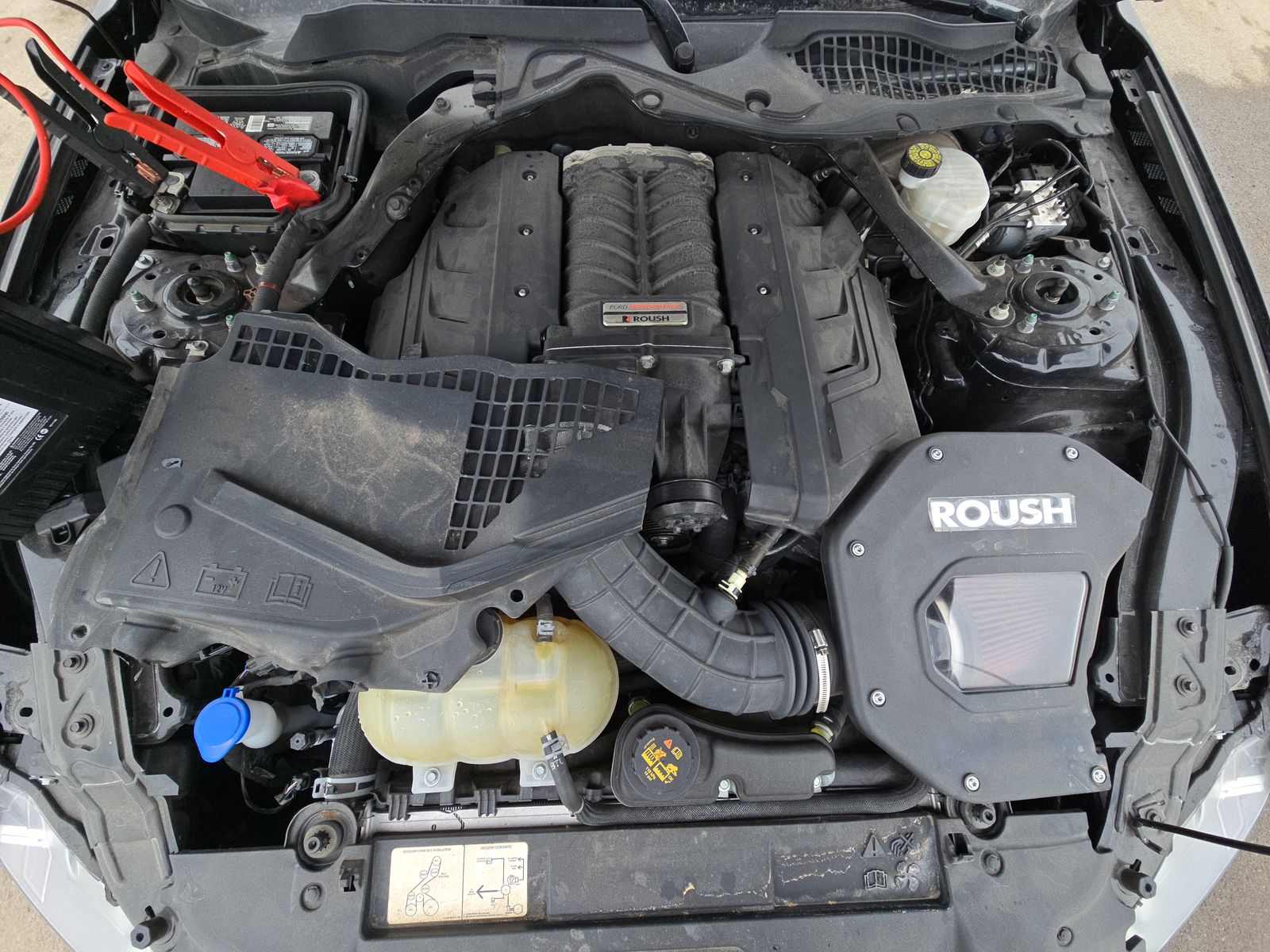 2022 Ford Mustang GT Premium RWD