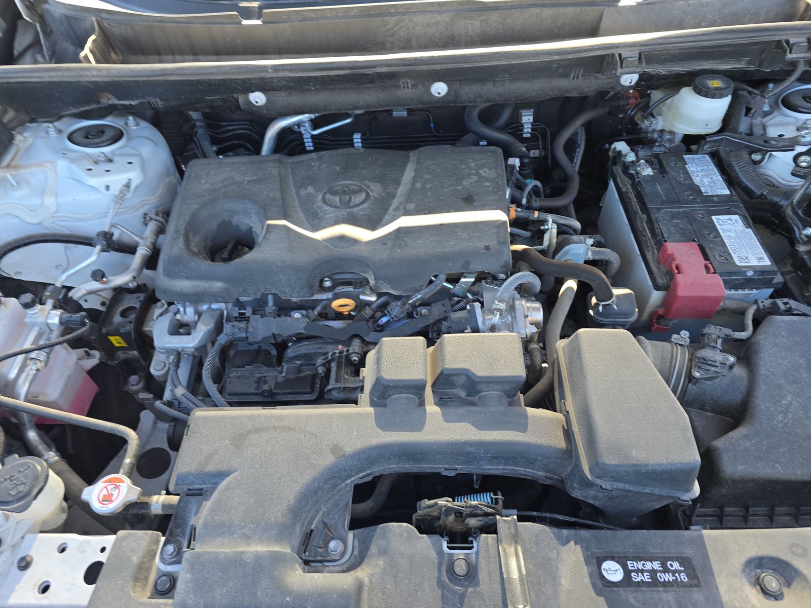 2024 Toyota RAV4 LE AWD