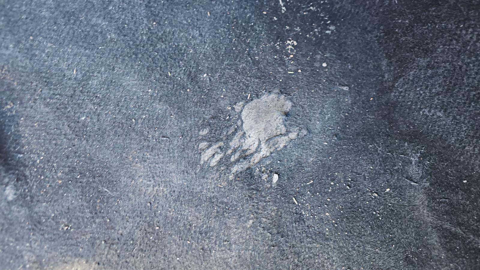 2024 Toyota Corolla LE FWD