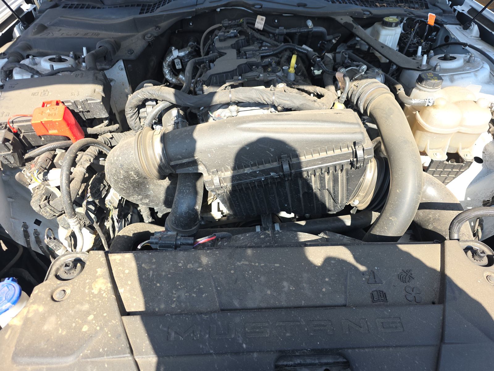 2024 Ford Mustang EcoBoost Premium RWD