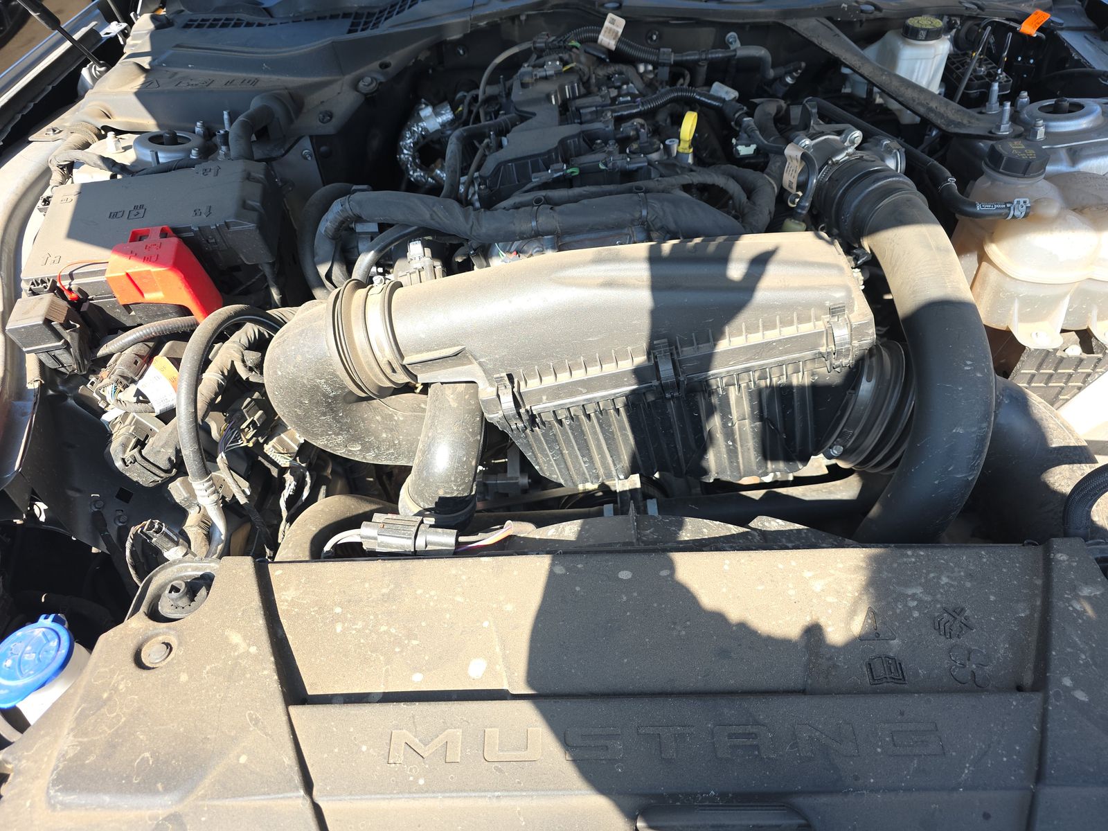 2024 Ford Mustang EcoBoost Premium RWD