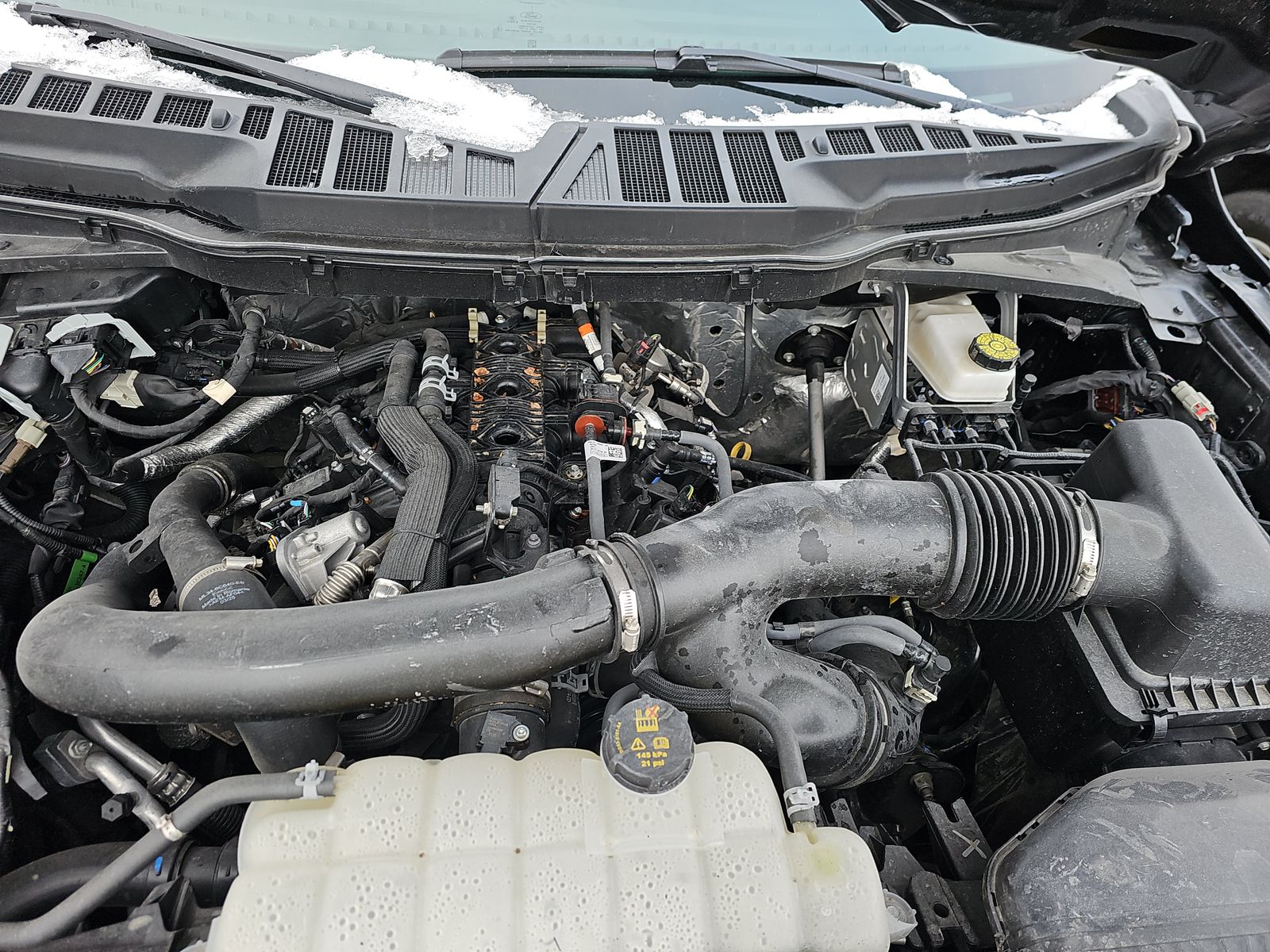 2025 Ford F-150 XLT AWD