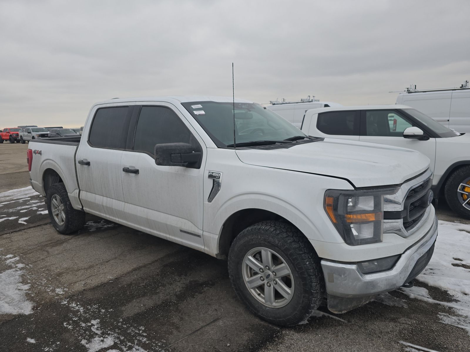 FORD F-150 - 4