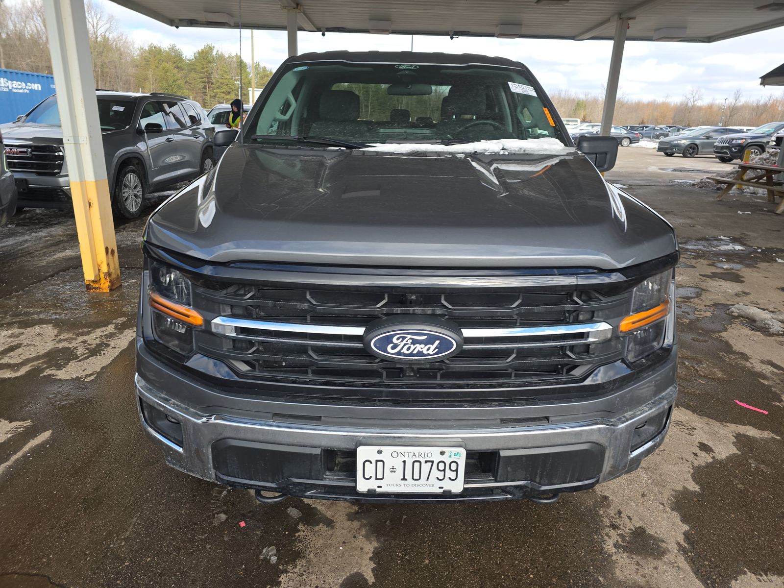 2025 Ford F-150 XLT AWD