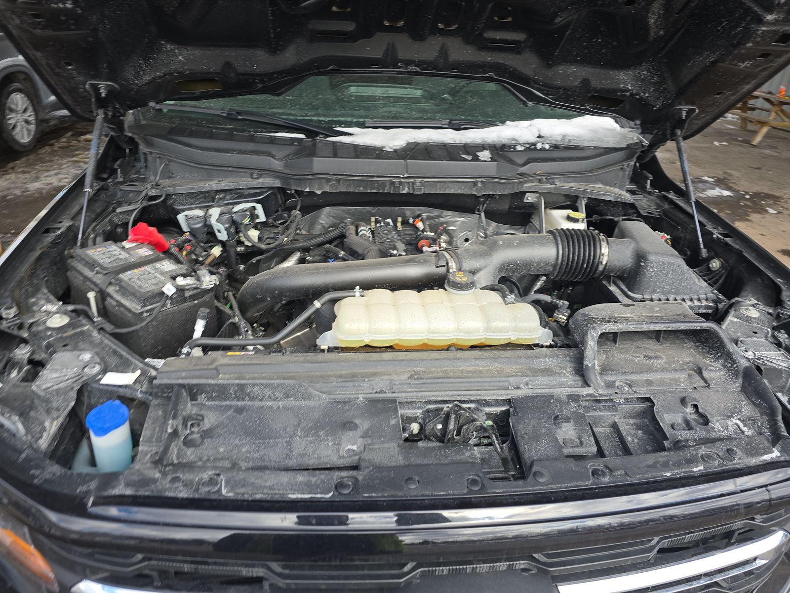 2025 Ford F-150 XLT AWD