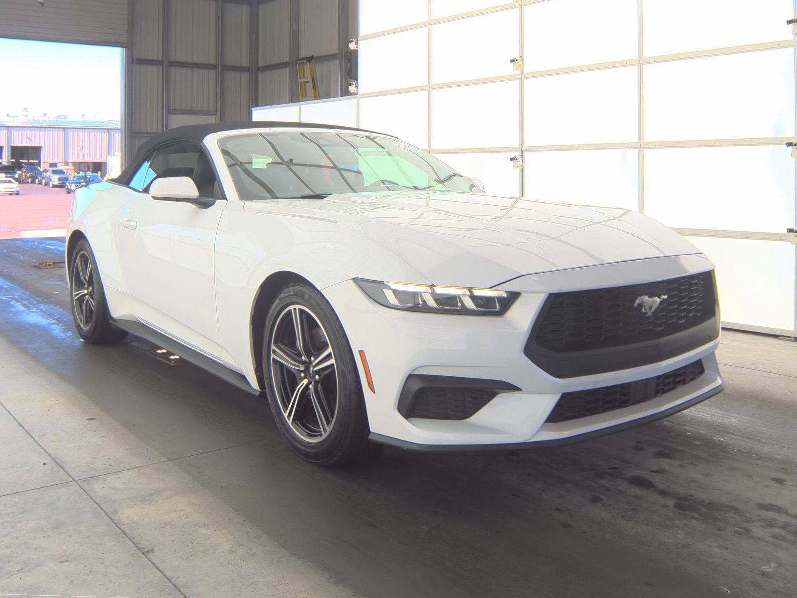 2024 Ford Mustang EcoBoost Premium RWD