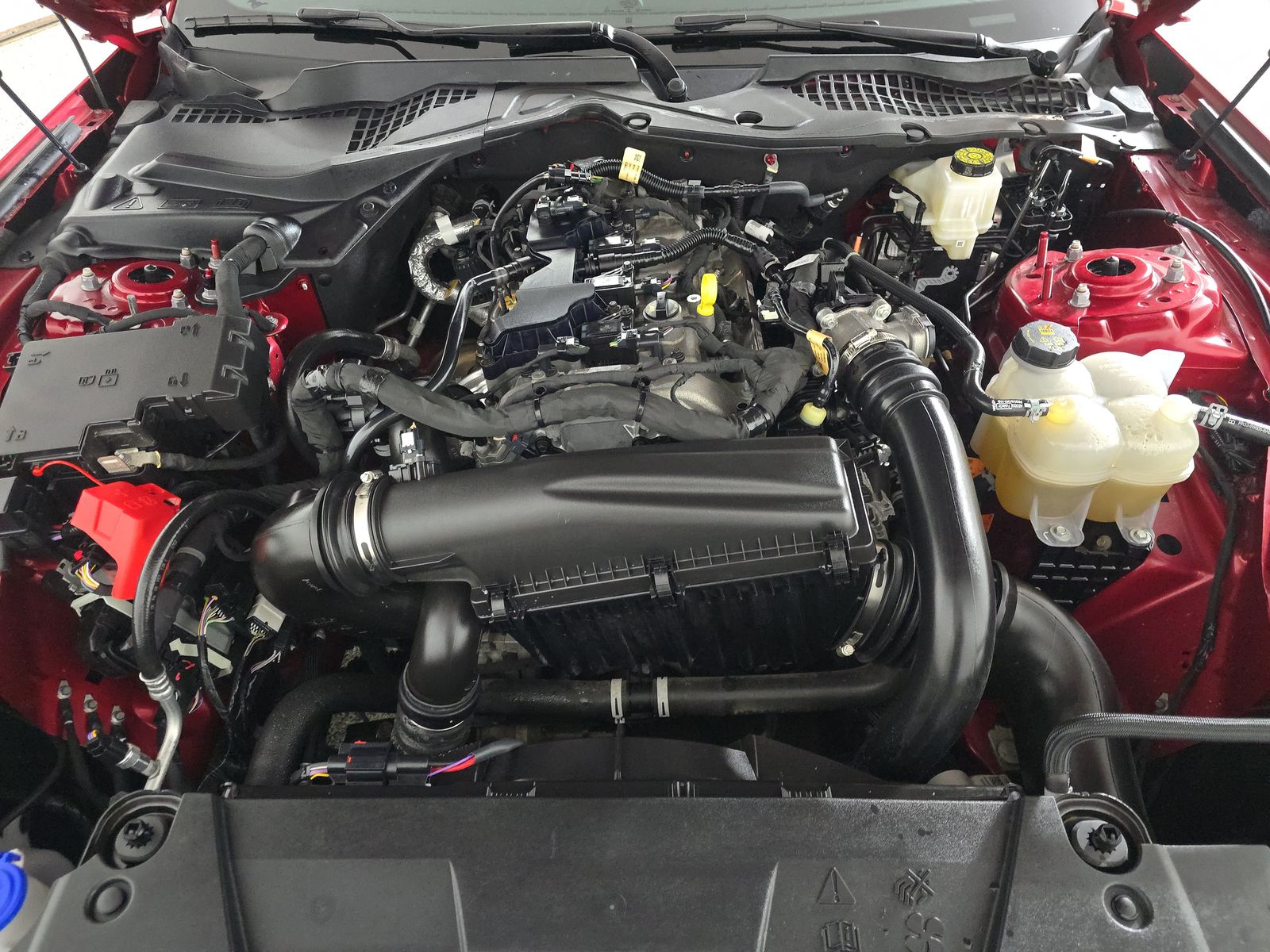 2024 Ford Mustang EcoBoost RWD