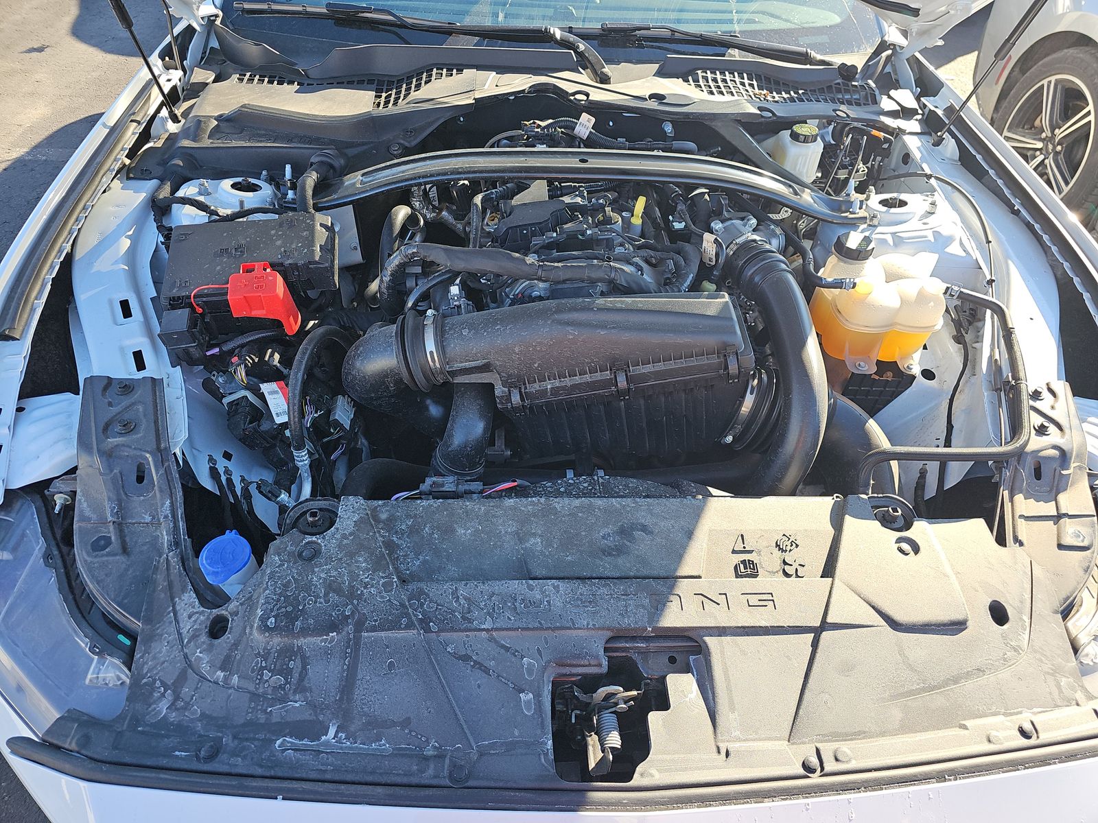 2025 Ford Mustang EcoBoost Premium FWD