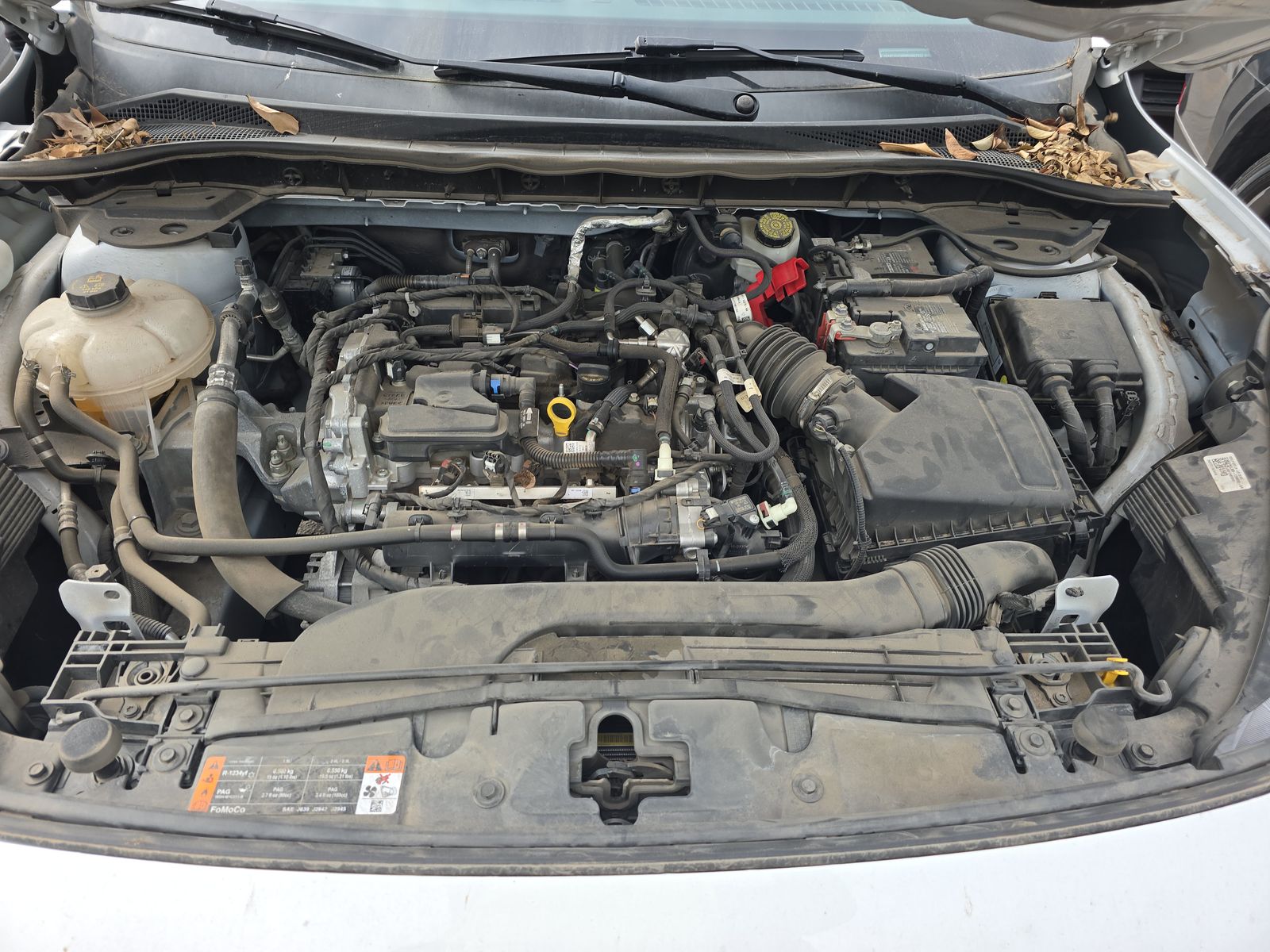 2021 Ford Escape SE FWD