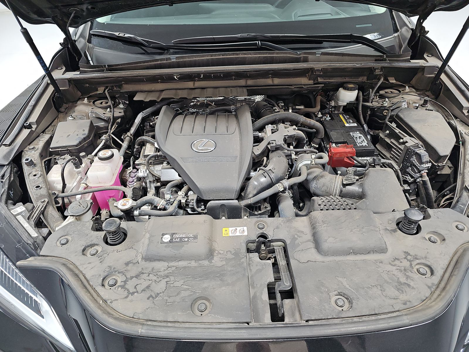 2024 Lexus NX NX 350 Premium AWD