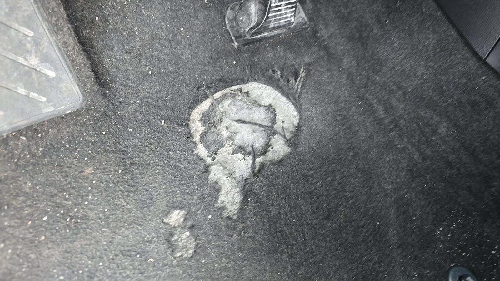 2024 Toyota RAV4 LE AWD