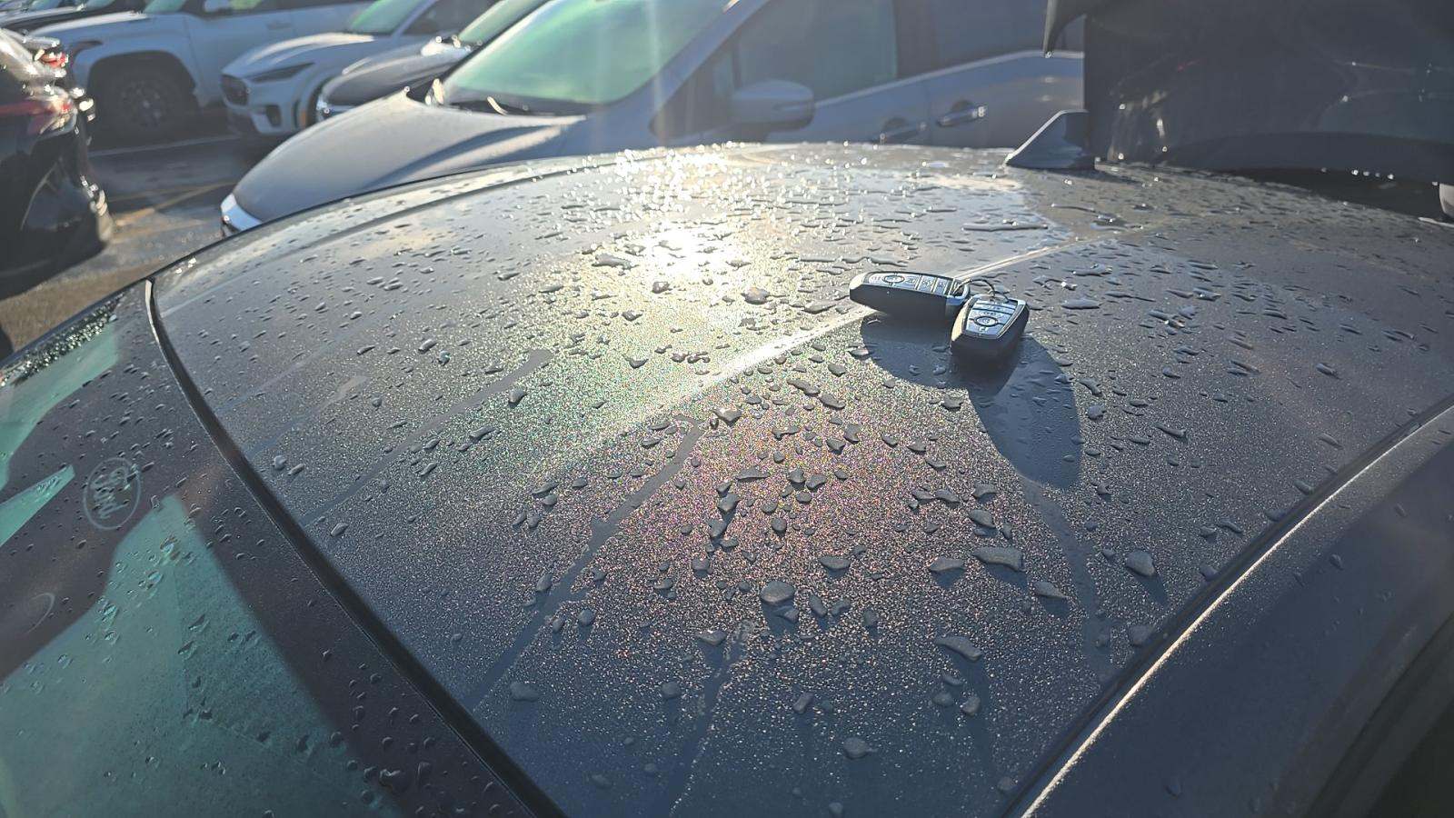 2025 Ford Mustang Dark Horse RWD