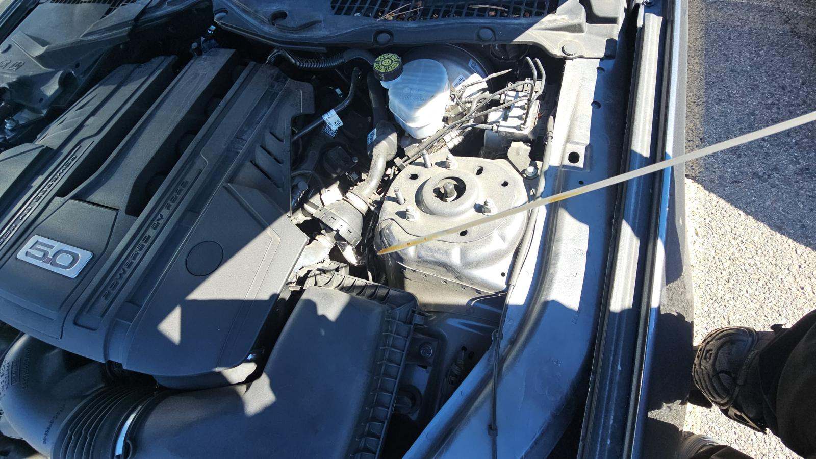 2022 Ford Mustang GT RWD