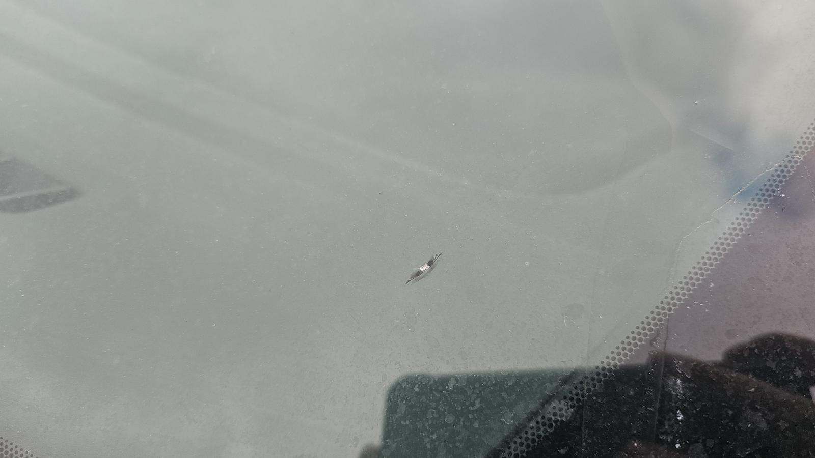 2023 Ford F-150 Tremor AWD