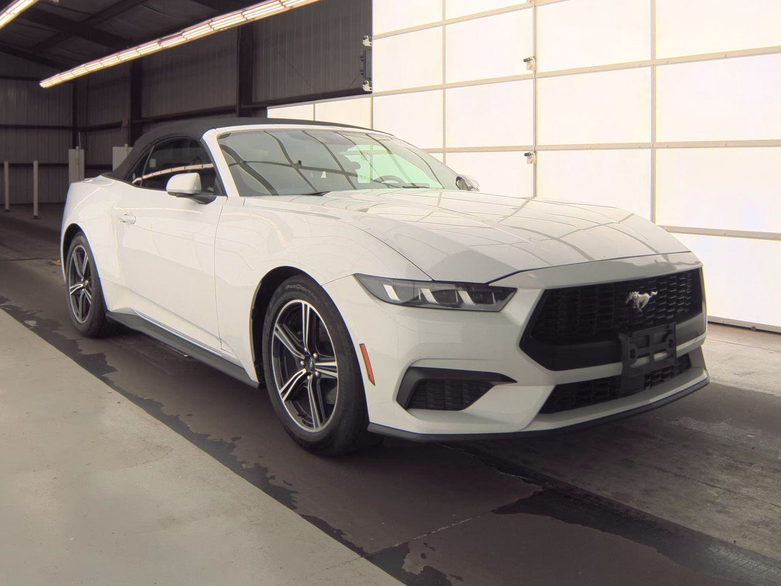 2024 Ford Mustang EcoBoost Premium RWD