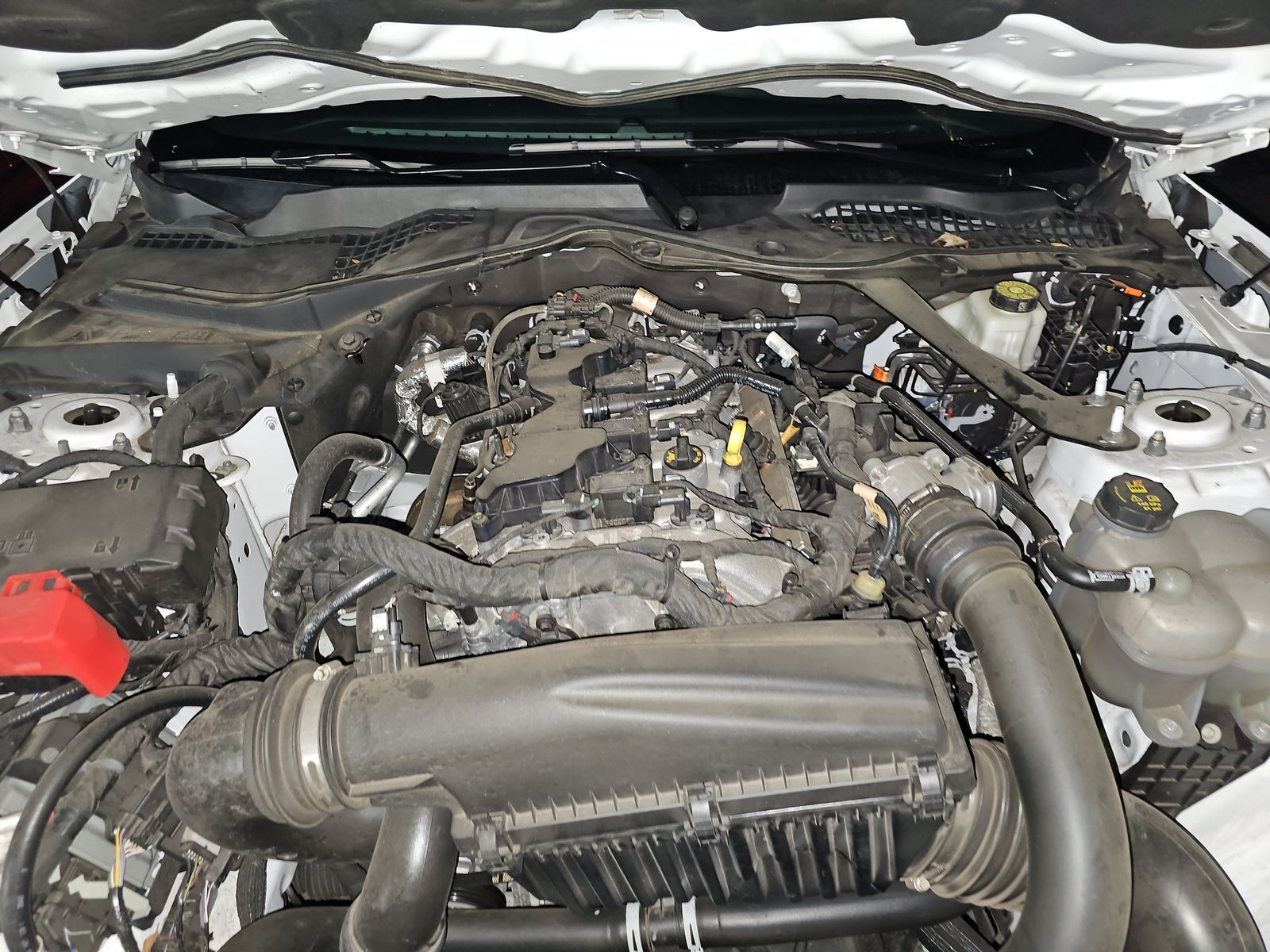 2024 Ford Mustang EcoBoost Premium RWD