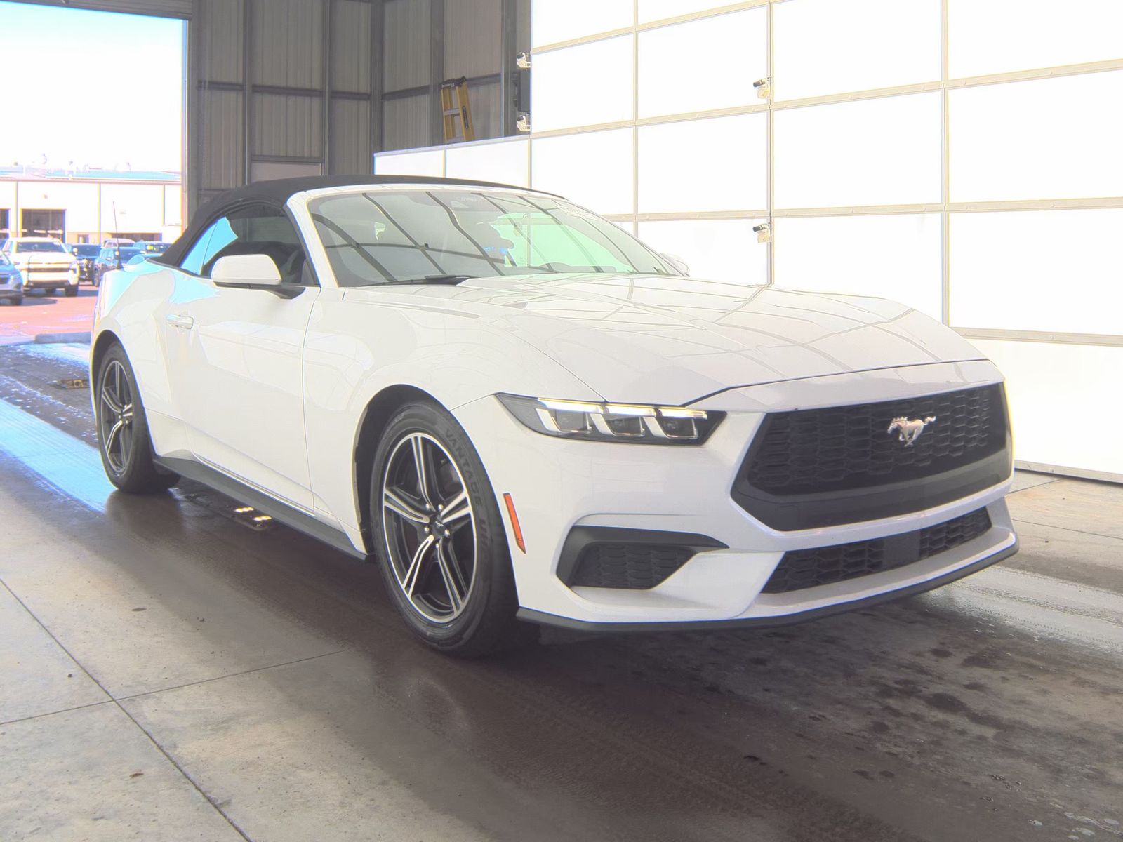 2024 Ford Mustang EcoBoost Premium RWD