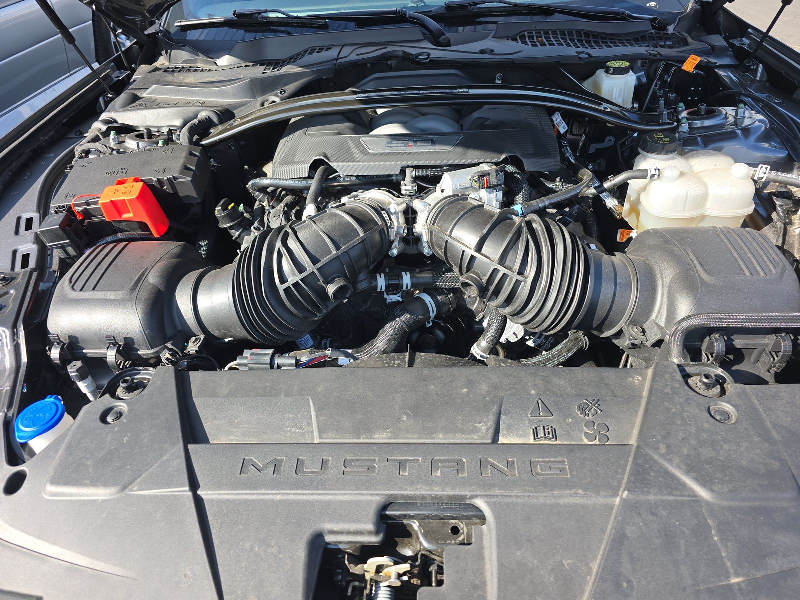 2025 Ford Mustang Dark Horse RWD