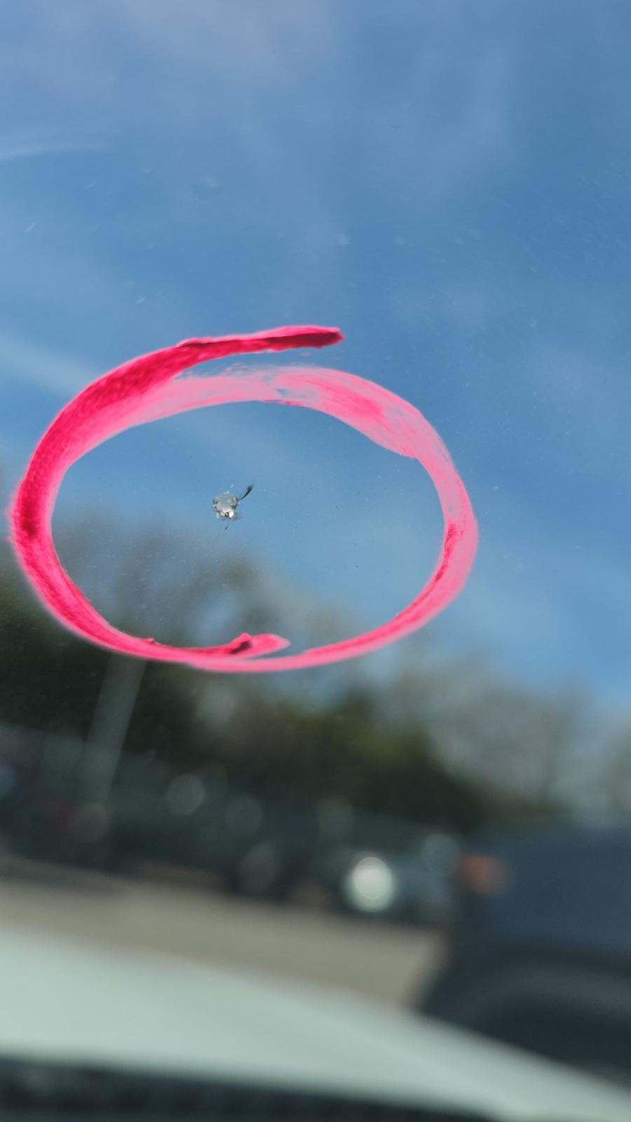 2024 Ford Mustang EcoBoost Premium RWD