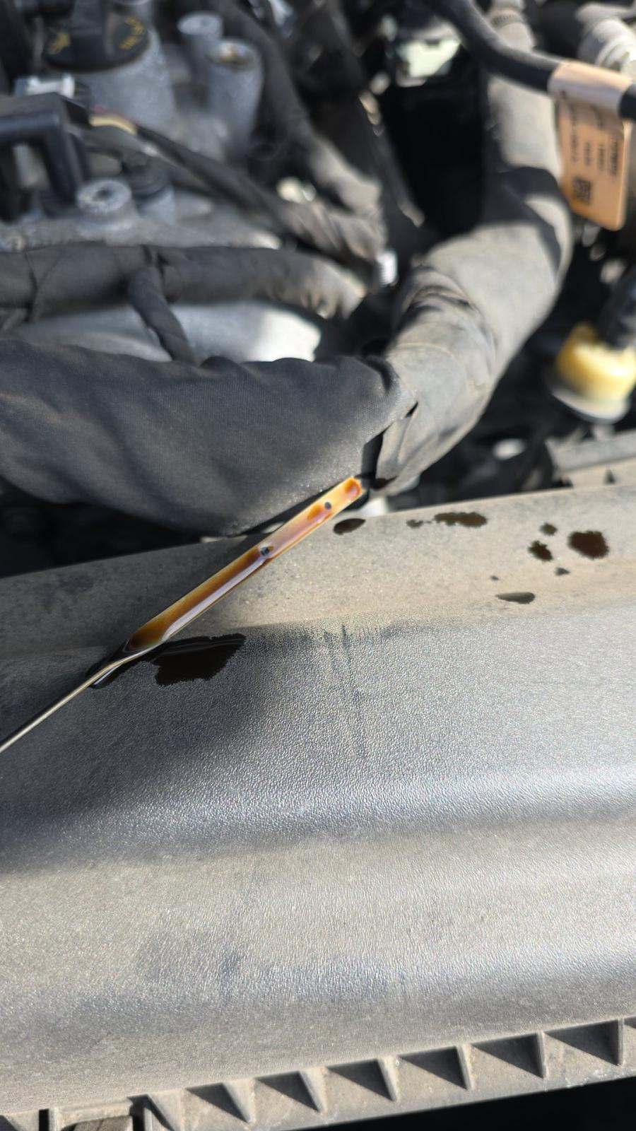 2024 Ford Mustang EcoBoost Premium RWD