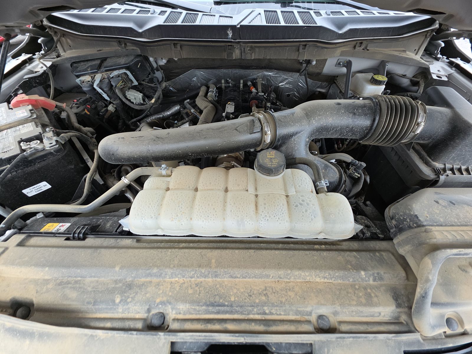 2025 Ford F-150 XLT AWD