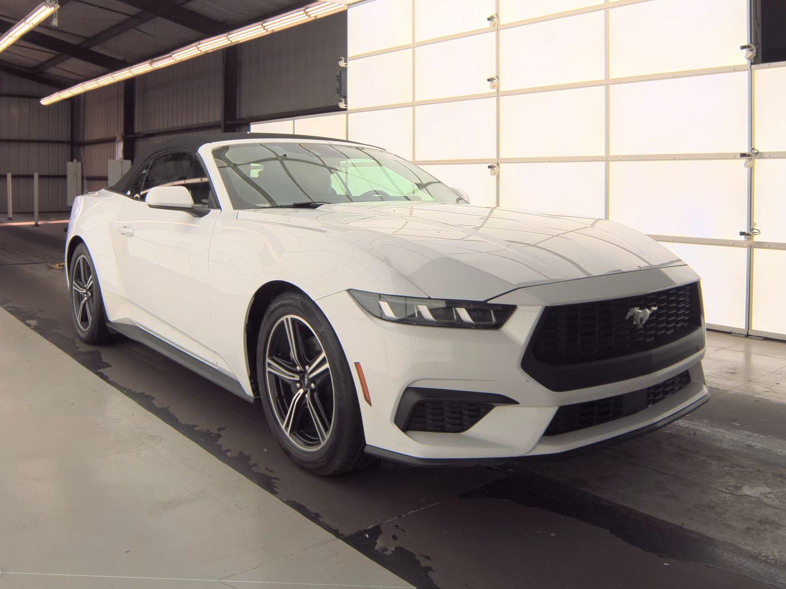 2024 Ford Mustang EcoBoost Premium RWD