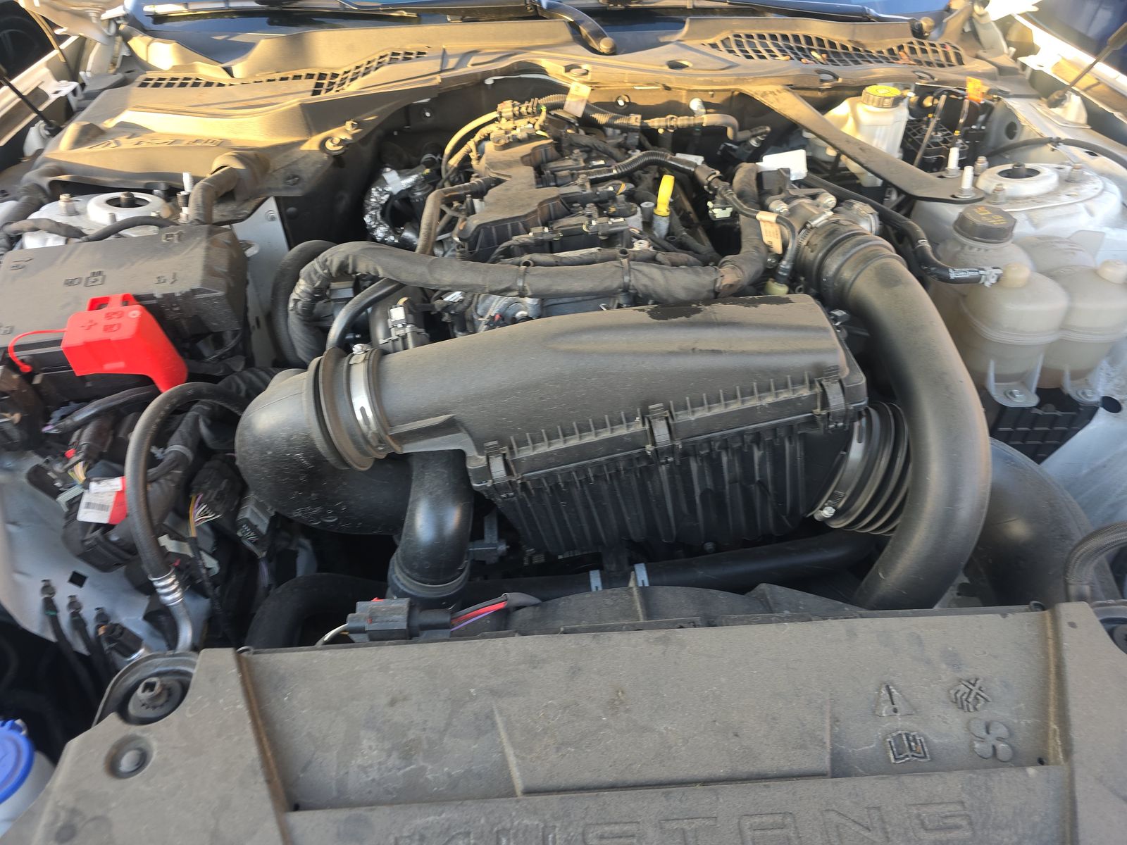 2024 Ford Mustang EcoBoost Premium RWD