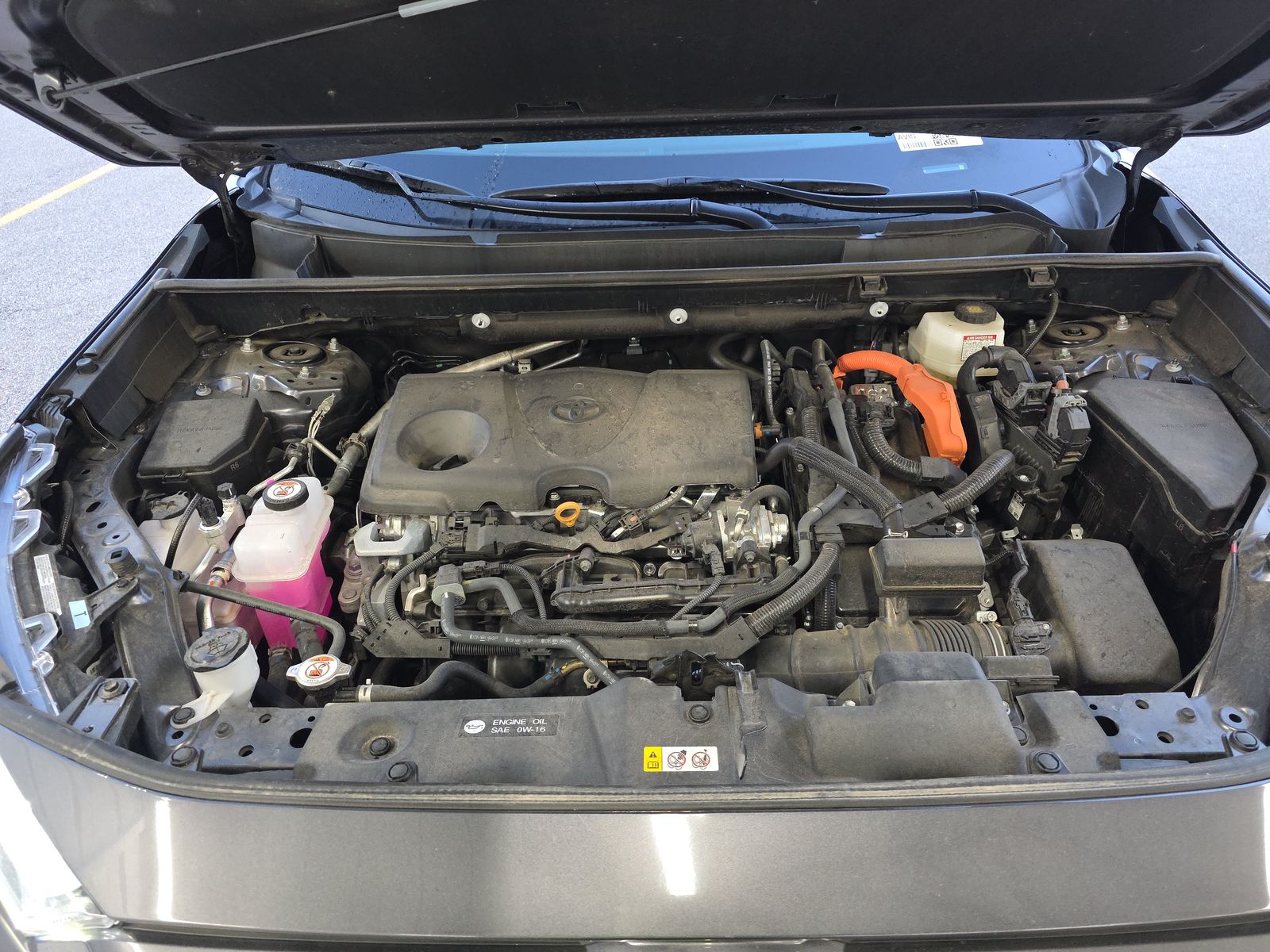 2025 Toyota RAV4 Hybrid XLE AWD