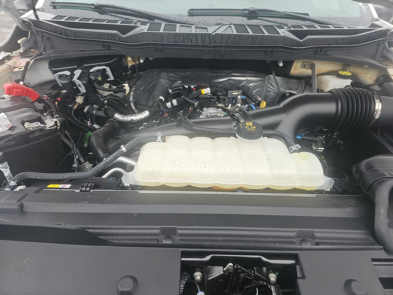 2024 Ford F-150 XLT AWD