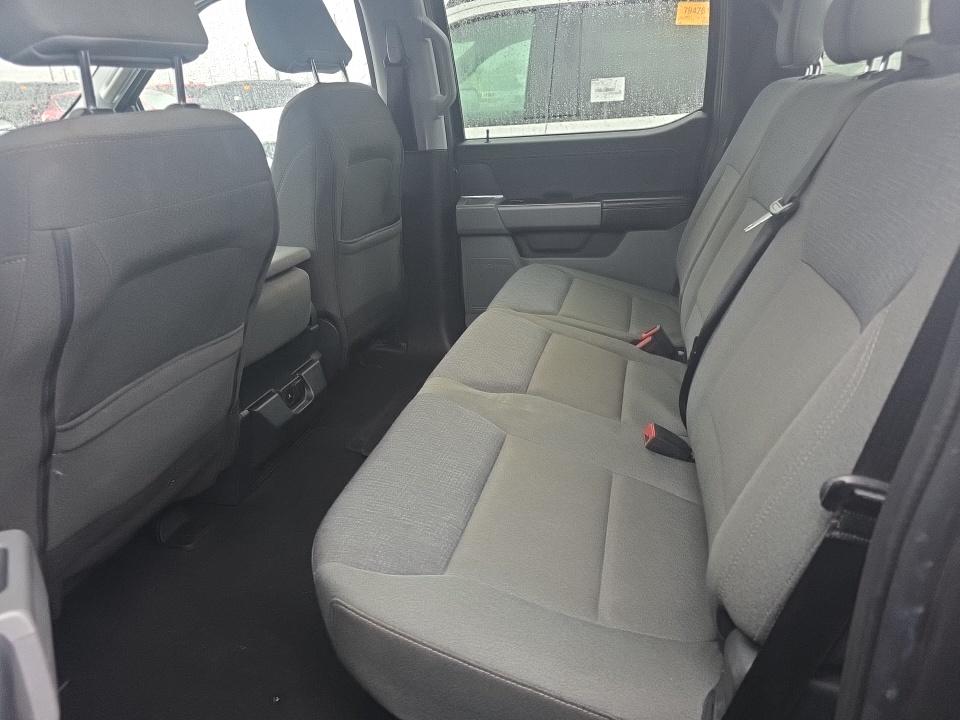 2024 Ford F-150 XLT AWD