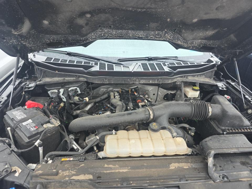 2024 Ford F-150 XLT AWD