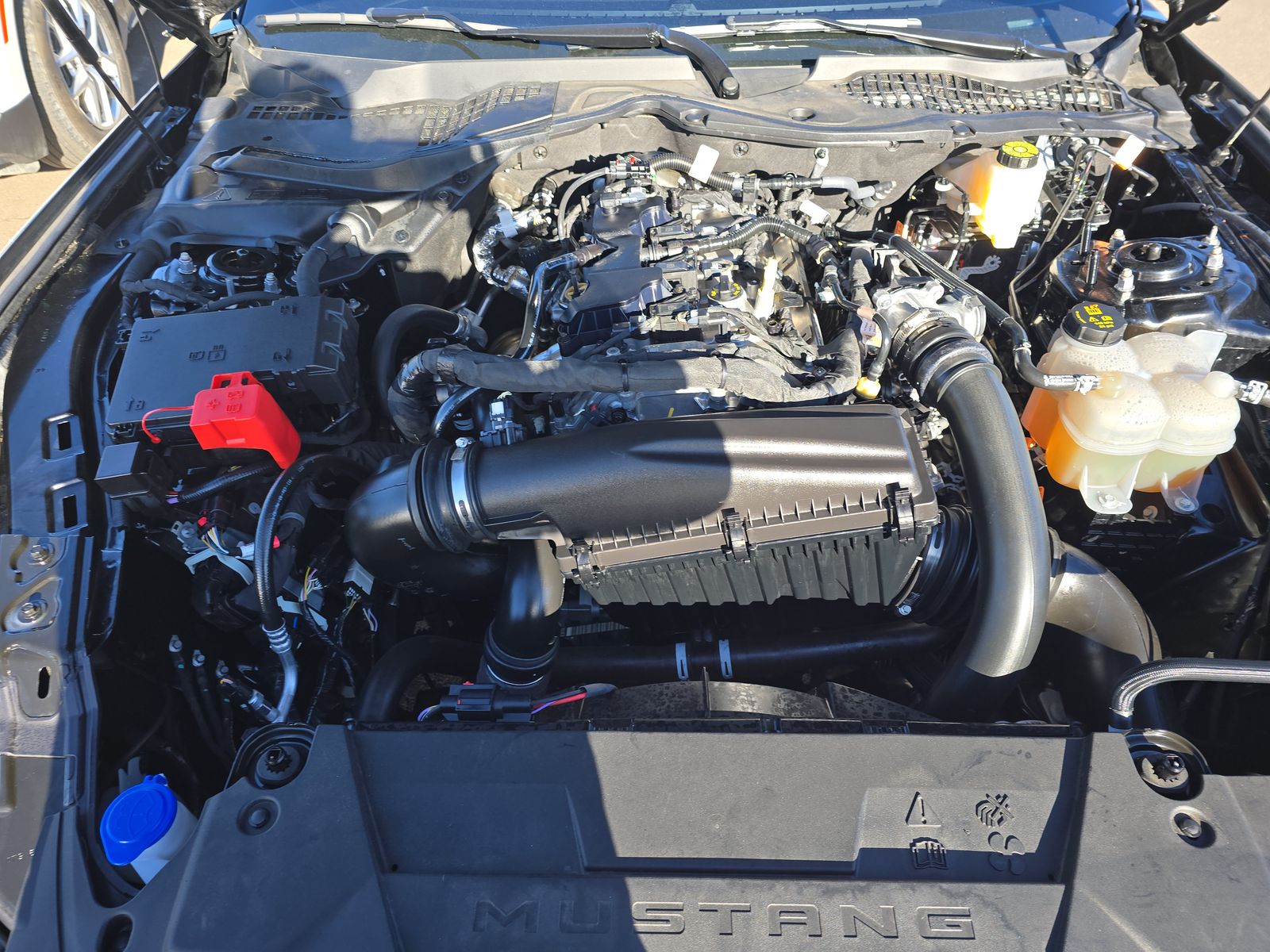 2024 Ford Mustang EcoBoost RWD