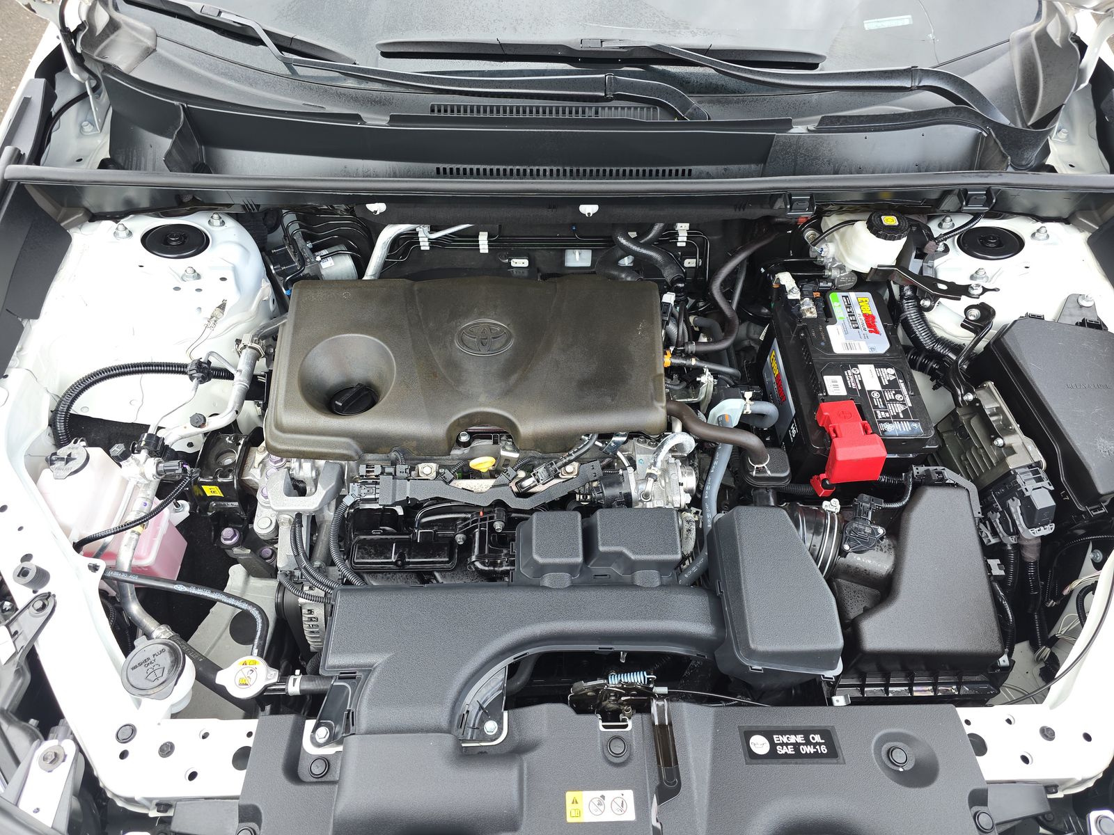 2024 Toyota RAV4 XLE AWD