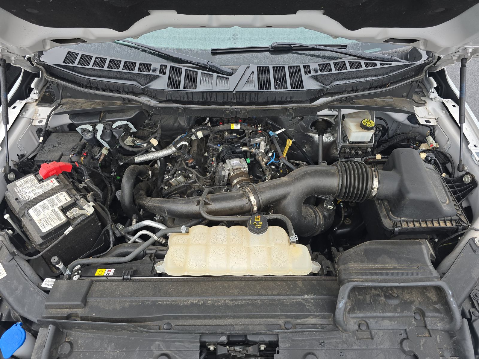 2023 Ford F-150 XLT AWD