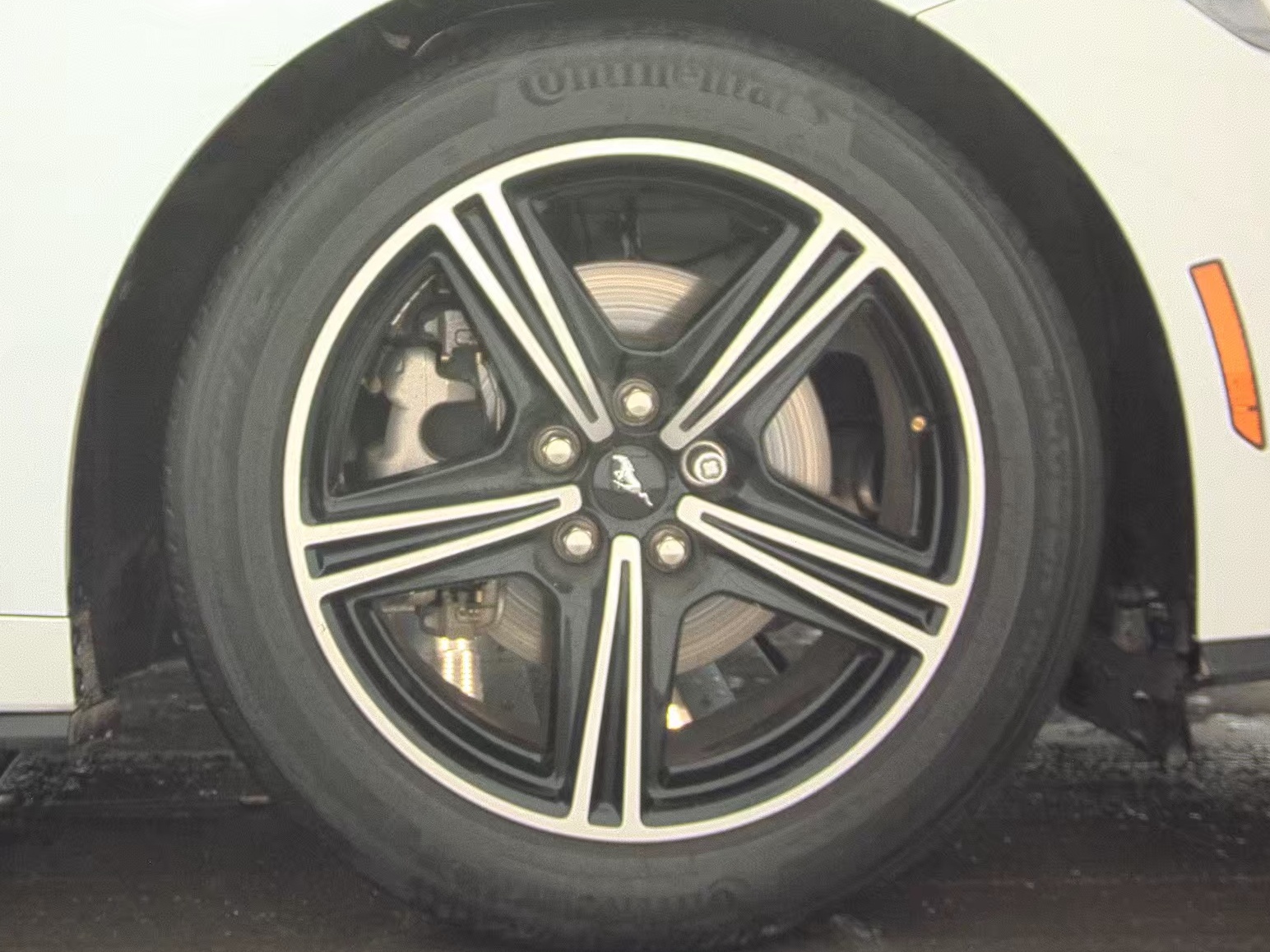 2024 Ford Mustang EcoBoost Premium RWD