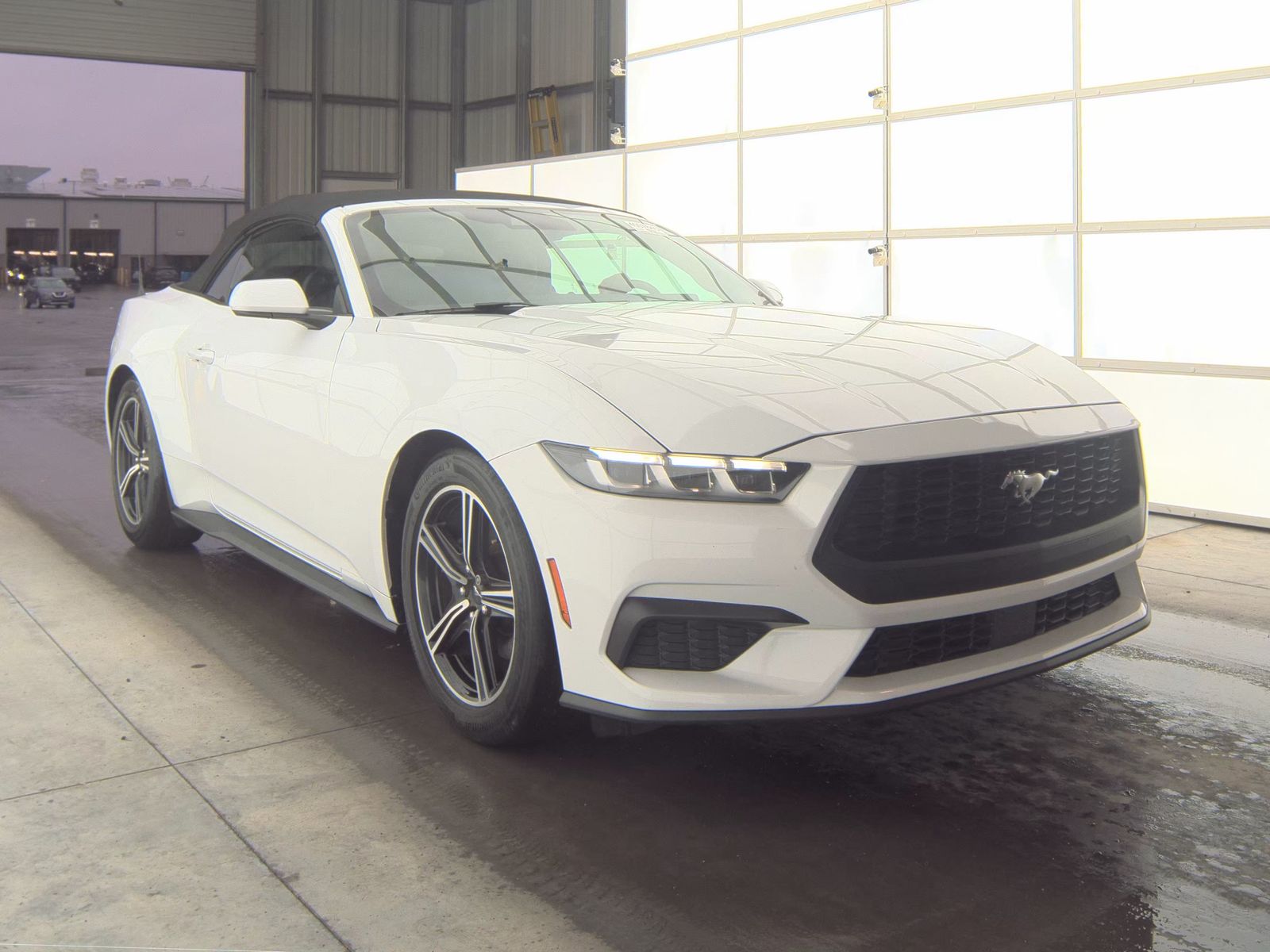 2024 Ford Mustang EcoBoost Premium RWD