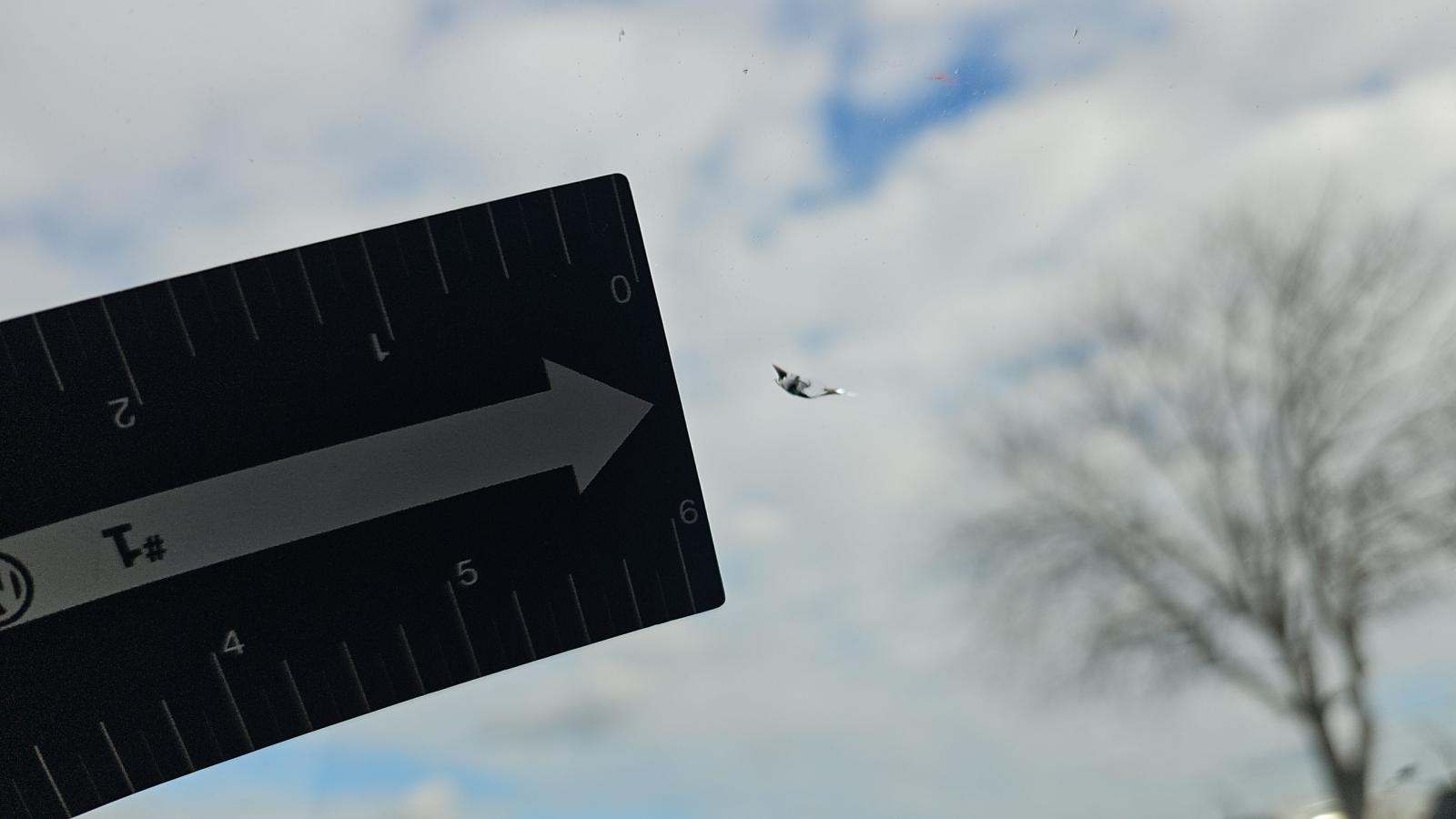 2019 Ford Mustang BULLITT RWD