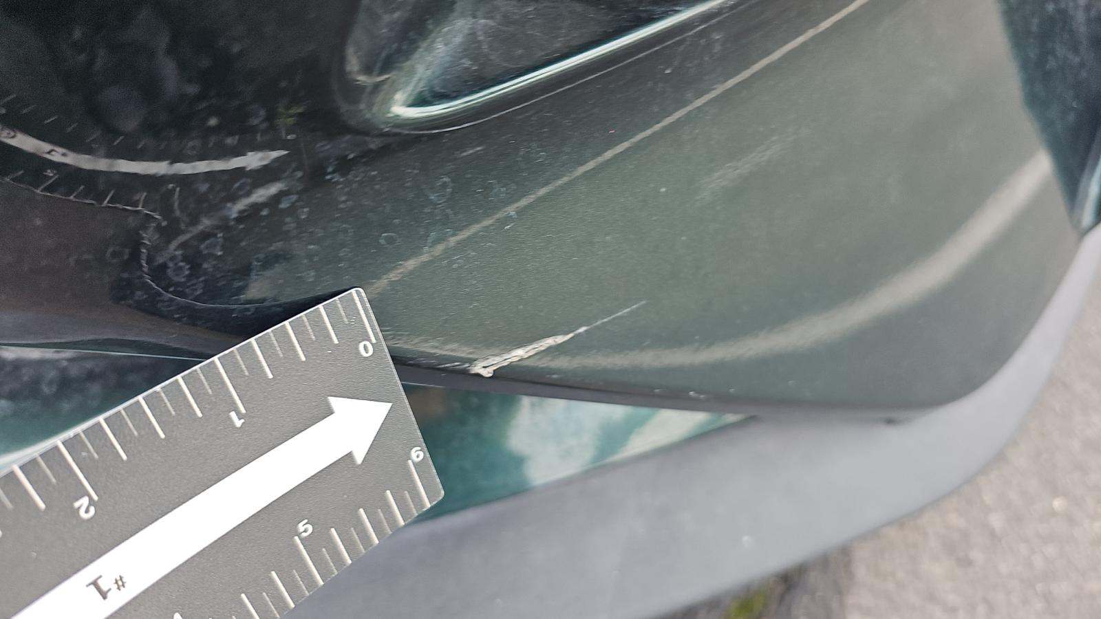 2019 Ford Mustang BULLITT RWD