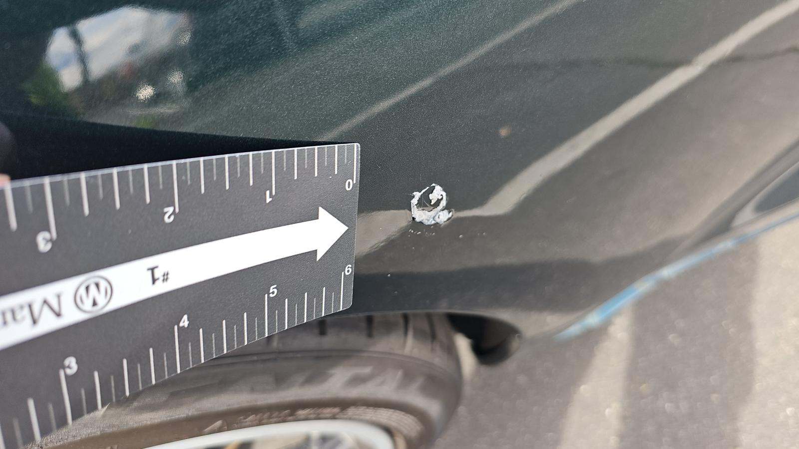 2019 Ford Mustang BULLITT RWD