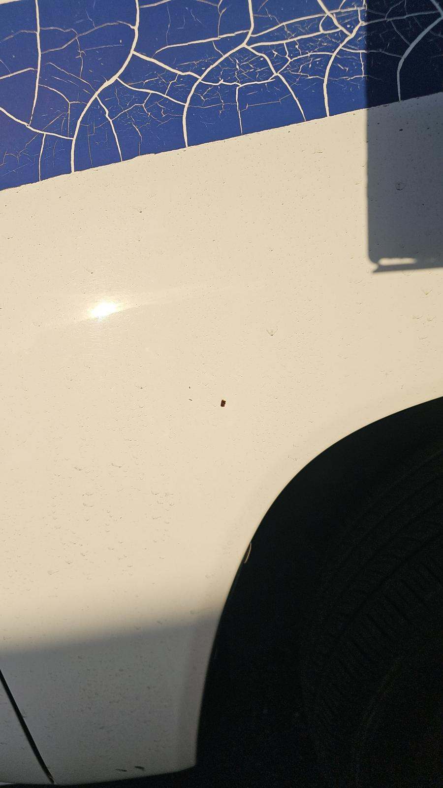 2015 Toyota Tacoma Base RWD