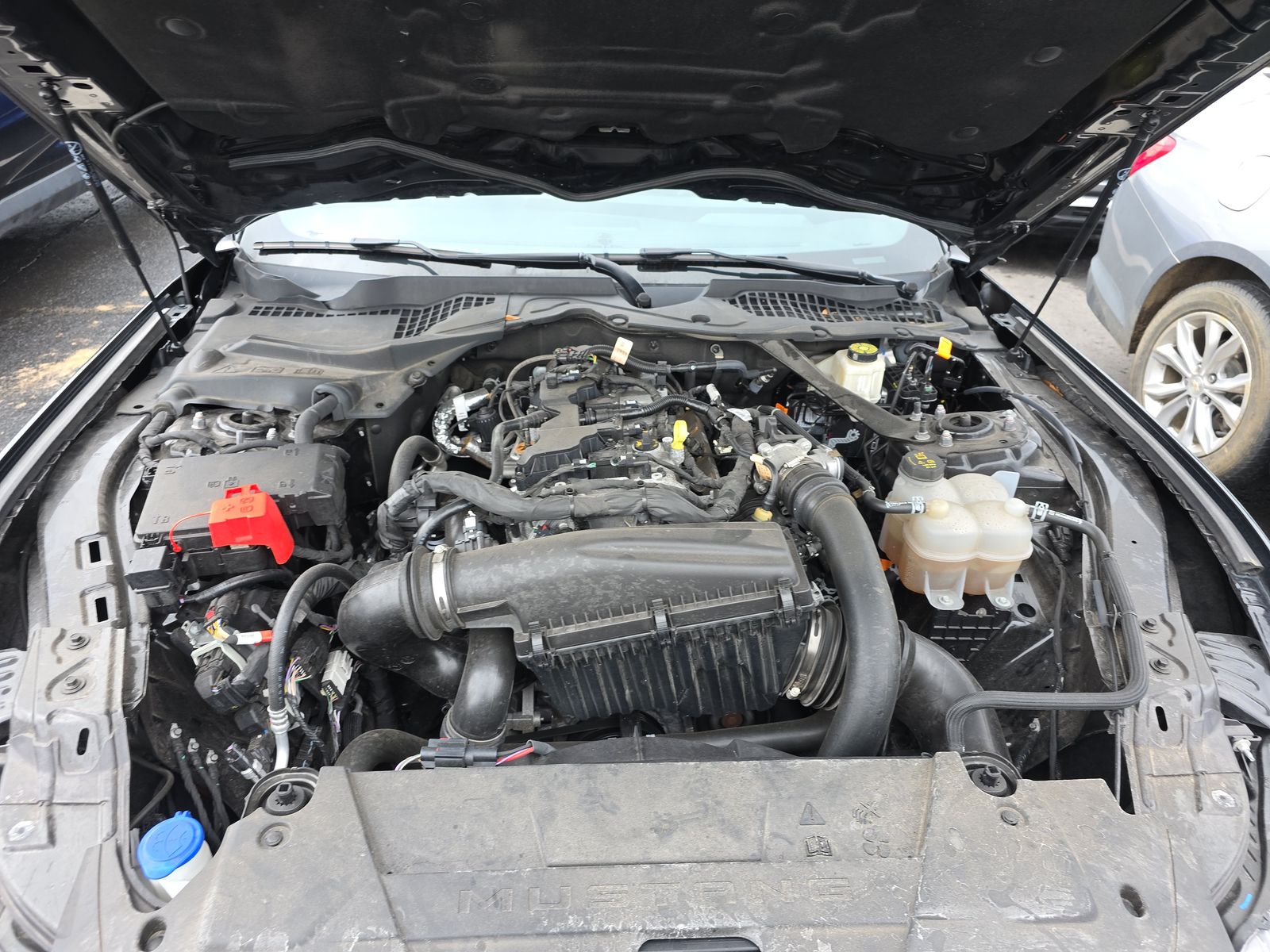 2024 Ford Mustang EcoBoost Premium RWD