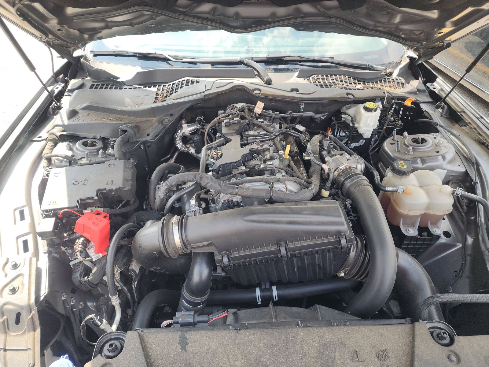 2024 Ford Mustang EcoBoost RWD