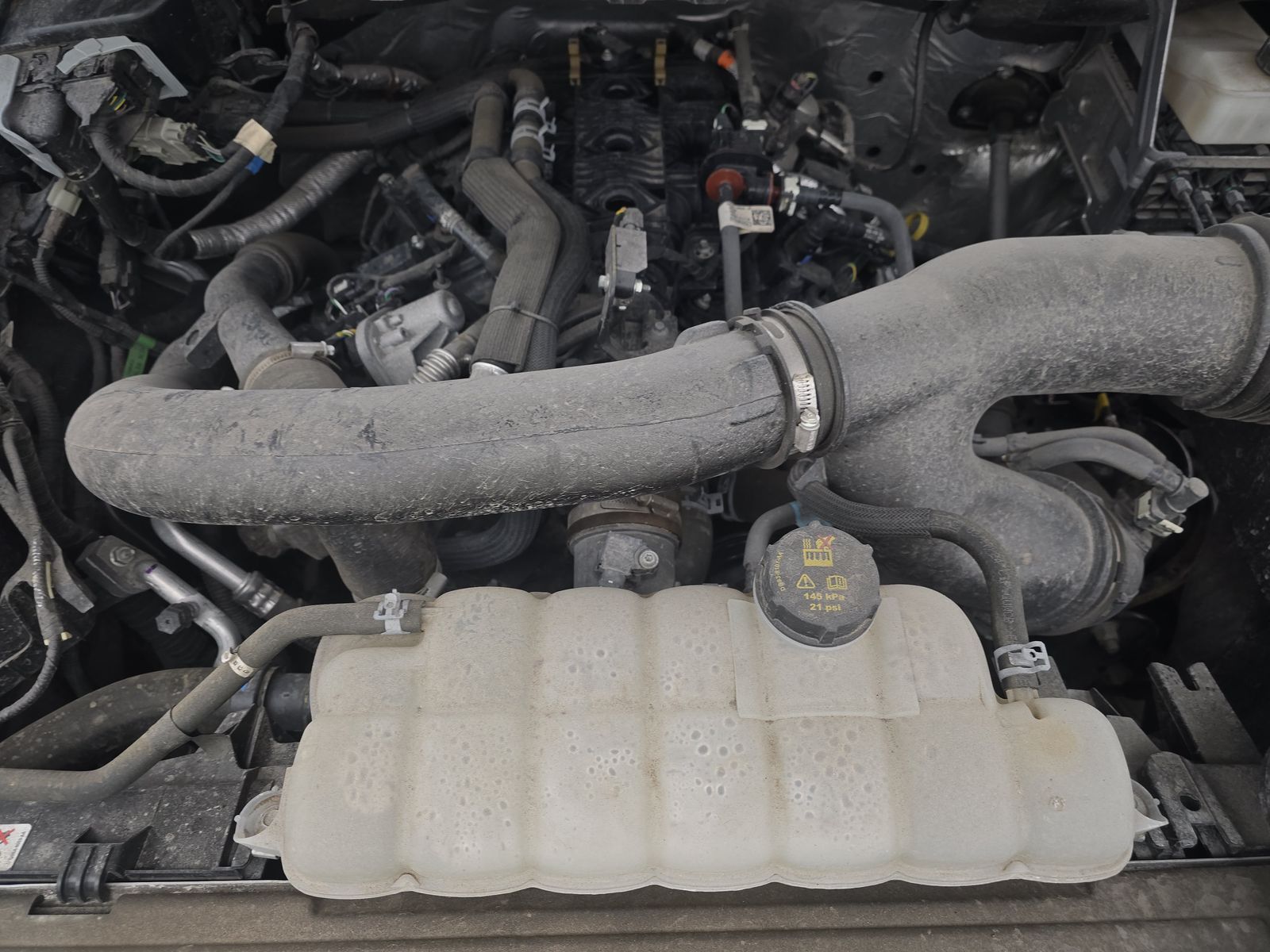 2024 Ford F-150 XLT AWD