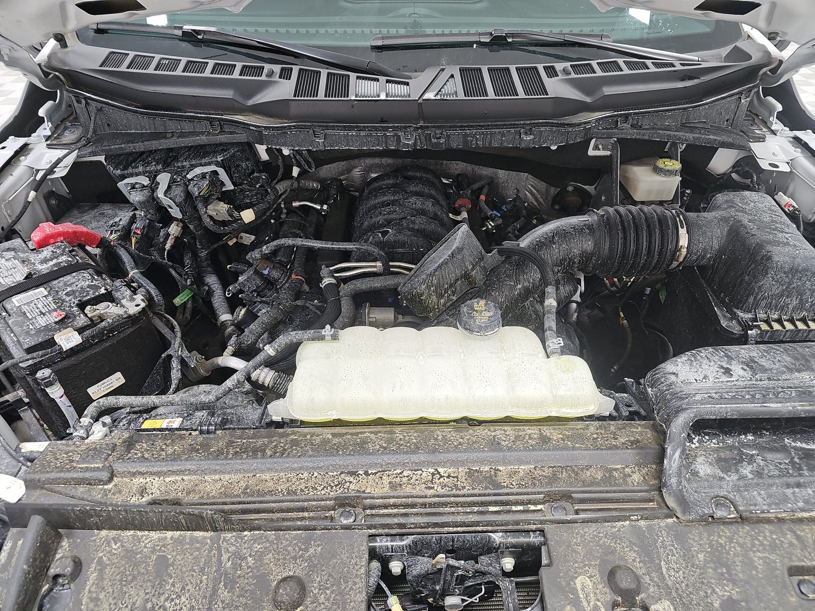 2024 Ford F-150 XLT AWD