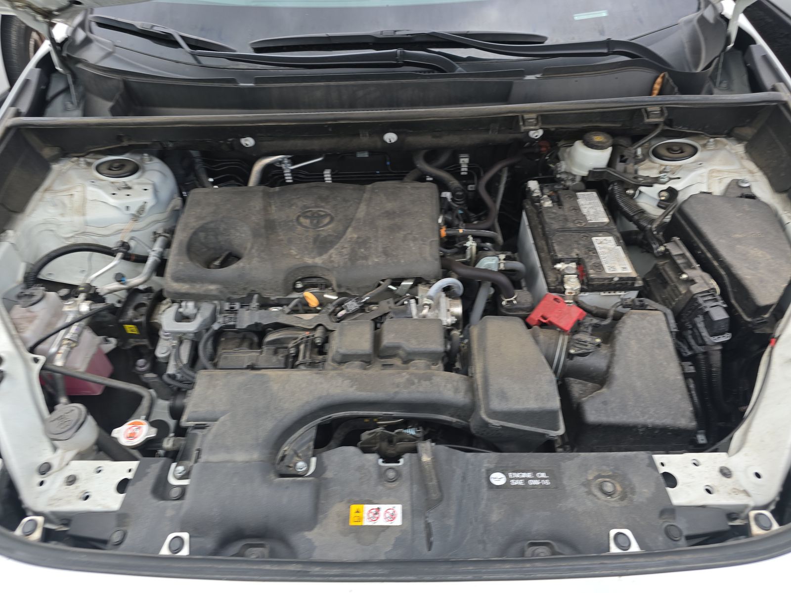 2024 Toyota RAV4 LE AWD