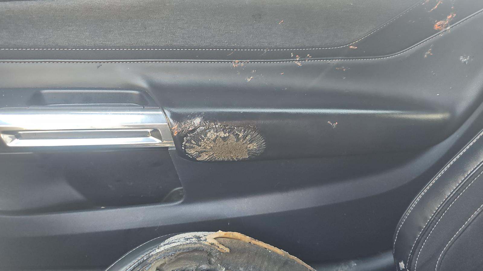 2024 Ford Mustang EcoBoost RWD