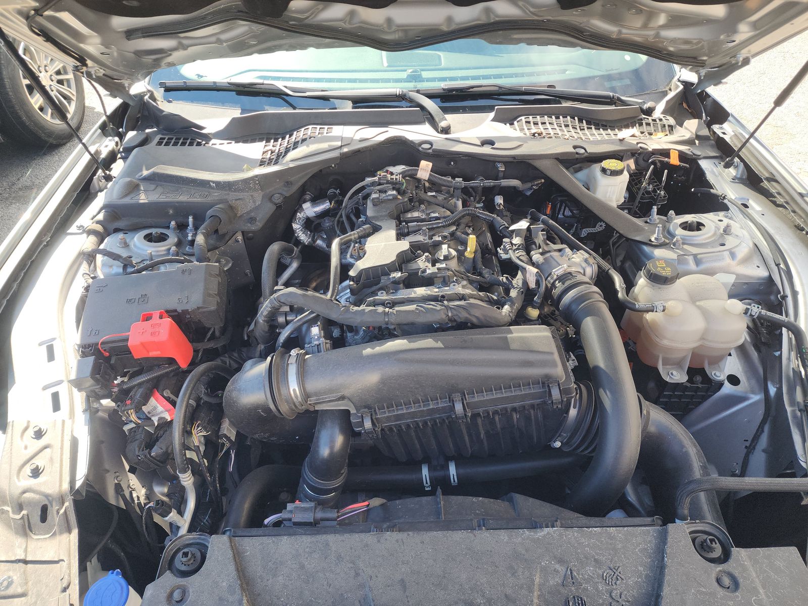 2024 Ford Mustang EcoBoost Premium RWD