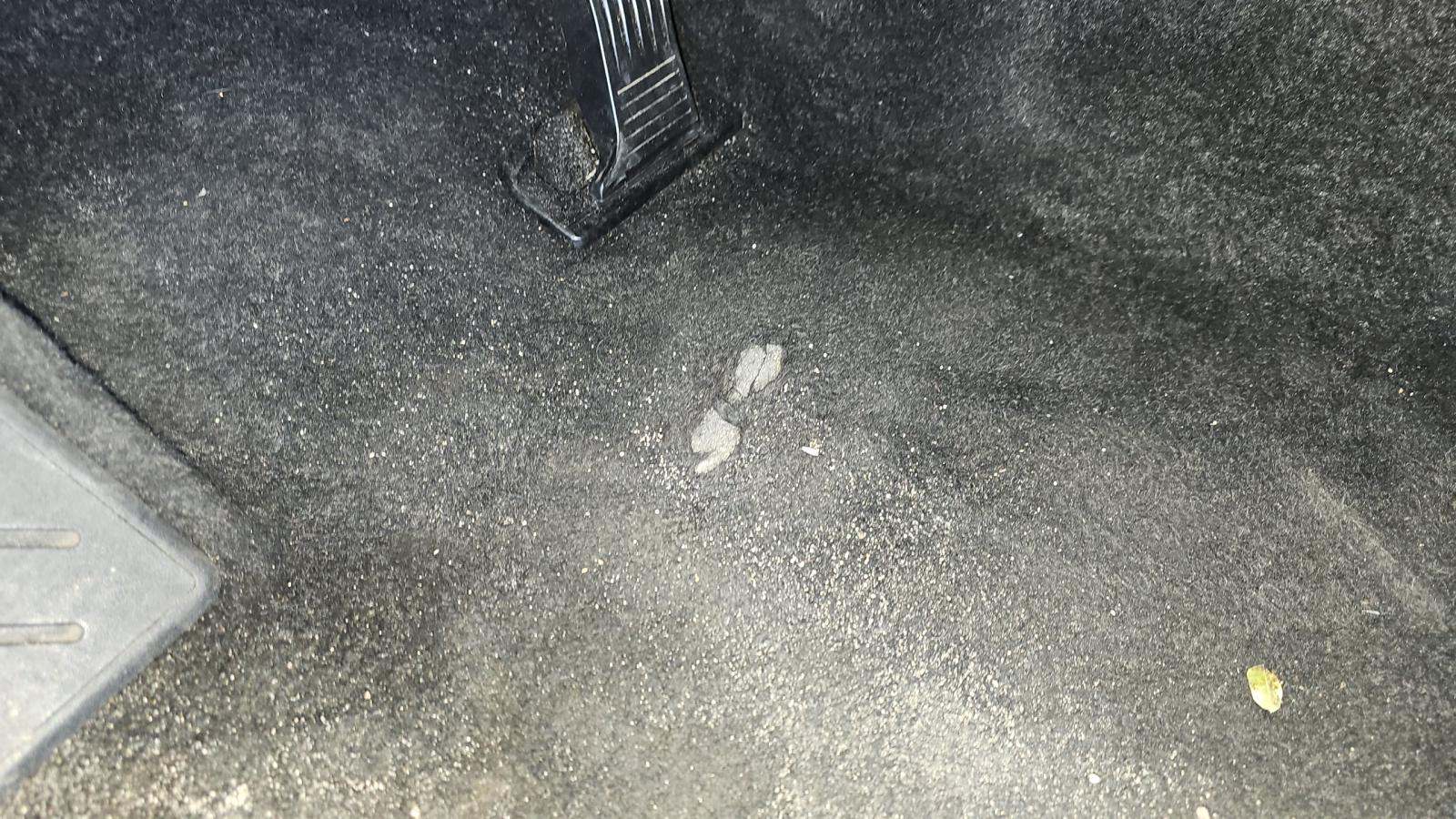 2025 Toyota RAV4 Hybrid XLE AWD