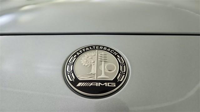 2024 Mercedes-Benz Mercedes-AMG GT AMG GT 43 AWD